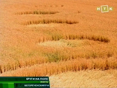 Узоры на полях: от красивого вида к описанию