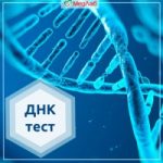 Как проводят ДНК тест на отцовство?